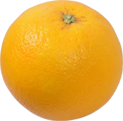 Medium Valencia Oranges
