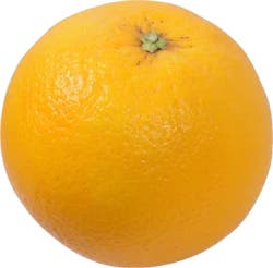 Medium Valencia Oranges