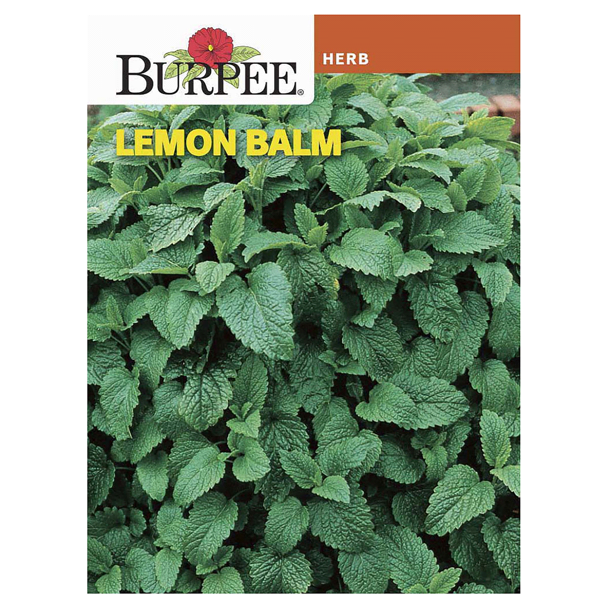 slide 1 of 1, Burpee Lemon Balm Seeds, 1 ct