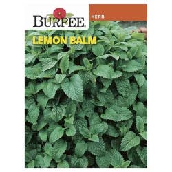 Burpee Lemon Balm Seeds