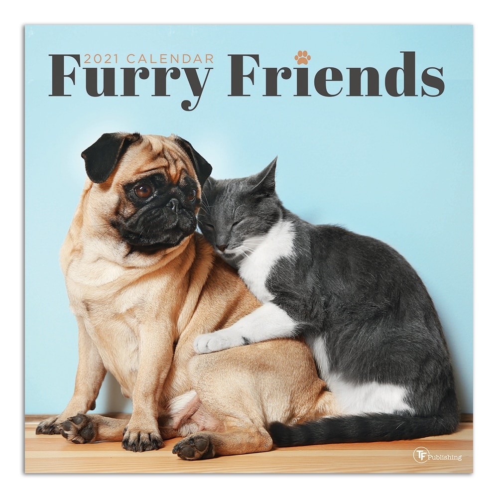 slide 1 of 1, TF Publishing Animals Monthly Wall Calendar, 12" X 12", Furry Friends, January To December 2021, 1 ct