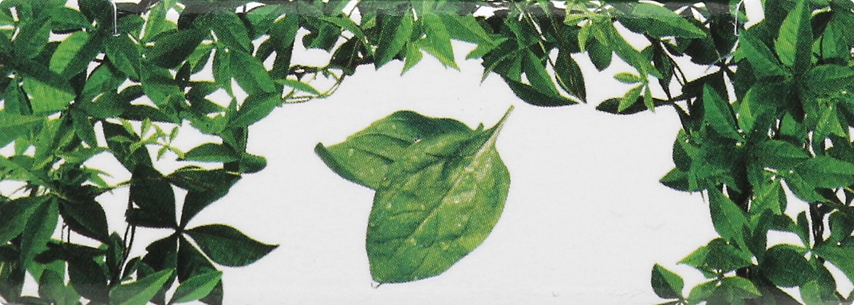 slide 7 of 11, Nailtopia Spinach Nails Strong Kit 2 ea, 1 ct