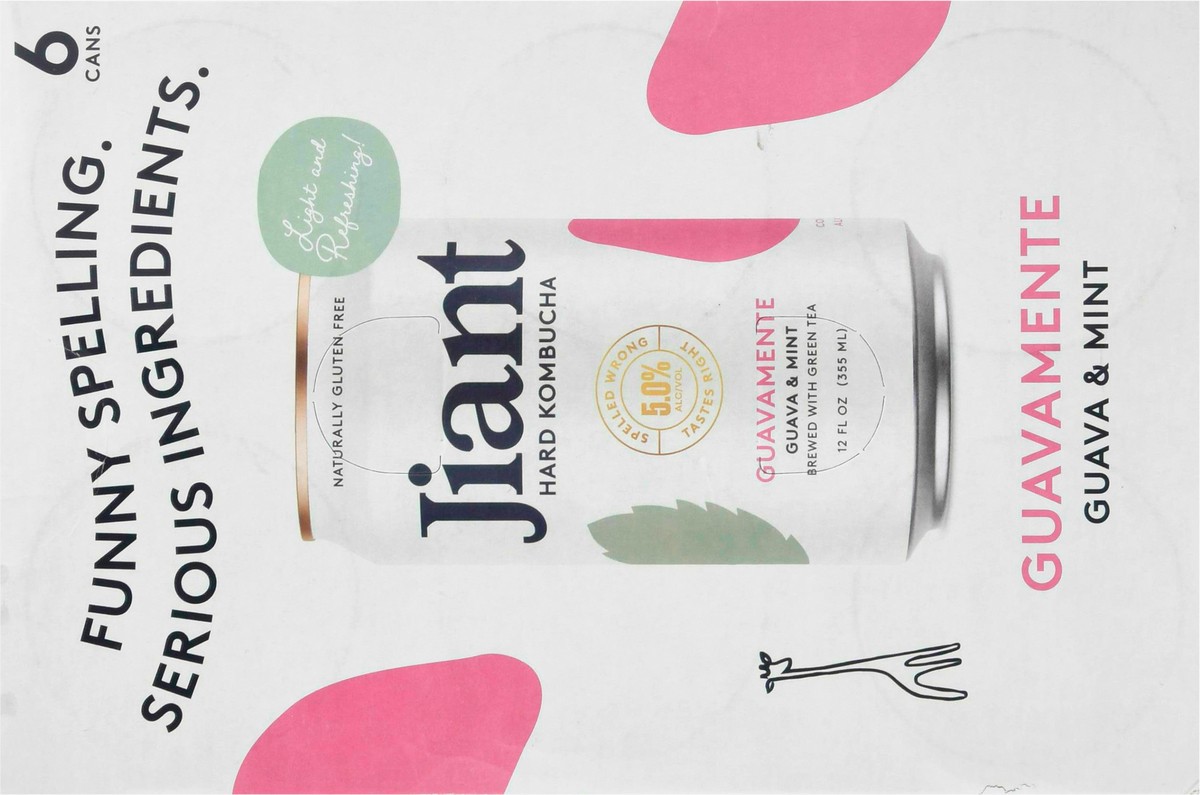 slide 10 of 14, Jiant Guava & Mint Hard Kombucha 6 - 12 oz ea, 6 ct