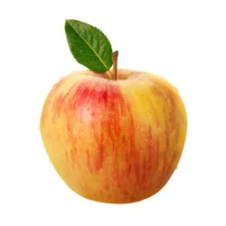 Honeycrisp Apple