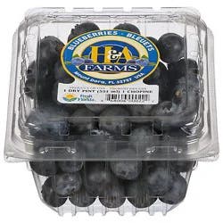 Blueberries - 1 pint