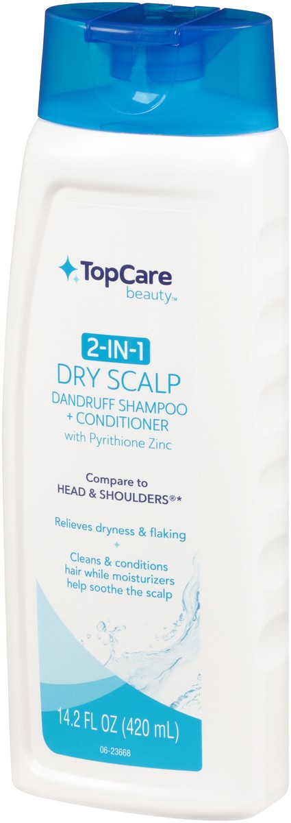 slide 2 of 8, TopCare Top Care Shampoo + Conditioner, 2 In 1, Dry Scalp, 14.2 oz