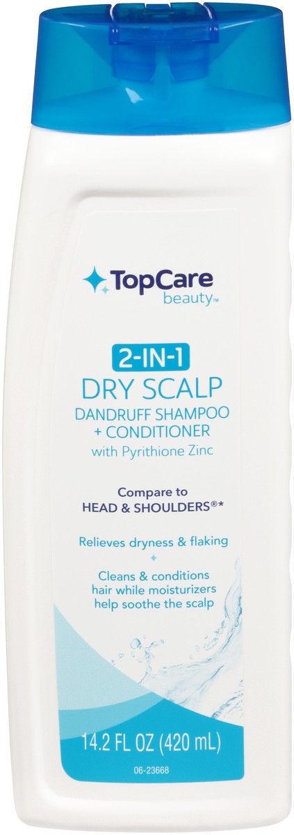 slide 1 of 8, TopCare Top Care Shampoo + Conditioner, 2 In 1, Dry Scalp, 14.2 oz