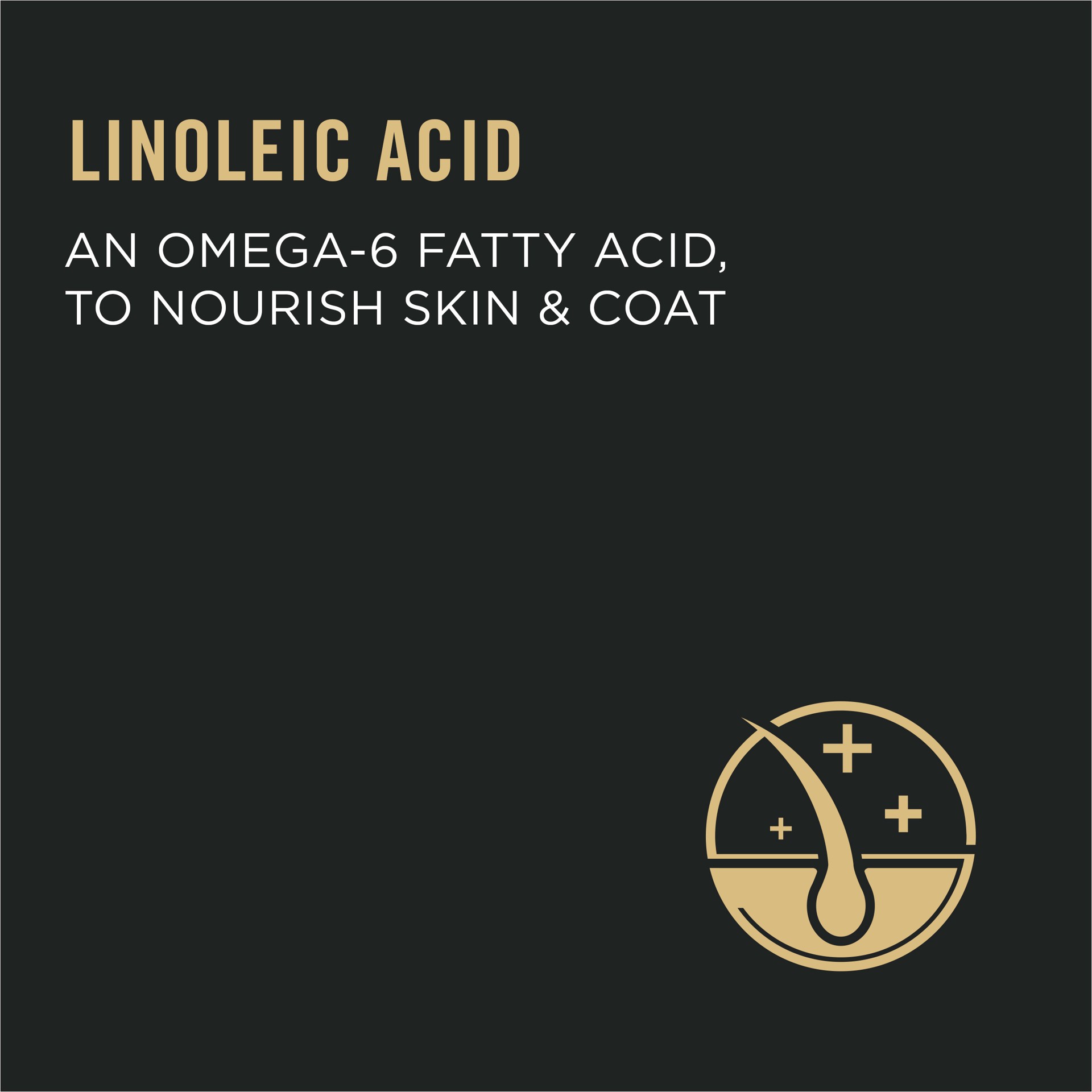 slide 7 of 8, Purina Pro Plan Urinary Tract Cat Food, Chicken and Rice Formula, 1 ct