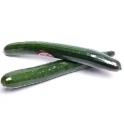 Greenhouse Grown Seedless Cucumbers