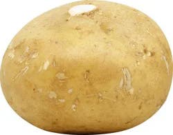 Jicama