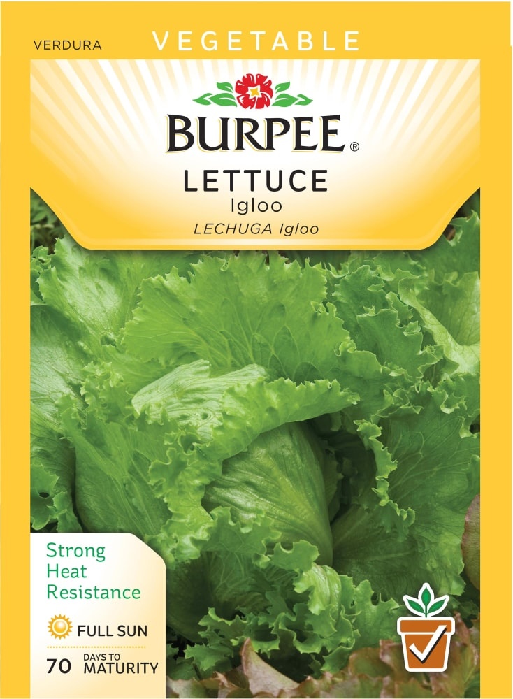 slide 1 of 1, Burpee Igloo Lettuce Seeds, 1 ct