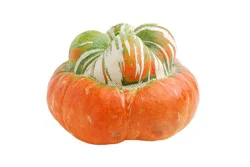 Turban Squash