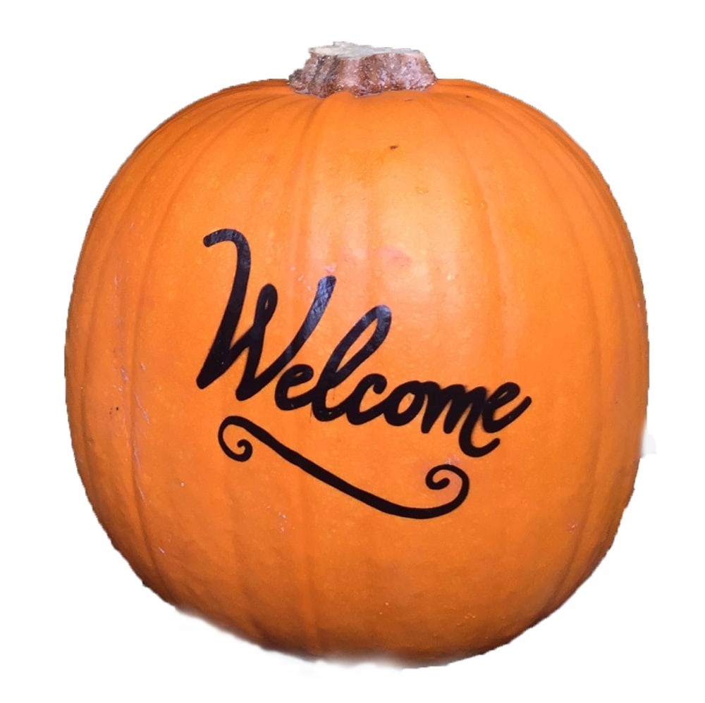 slide 1 of 1, Pumpkin Patch Pals Silhouette Pie Pumpkin, 1 ct