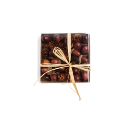 Acorn and Pine Cone Decorations