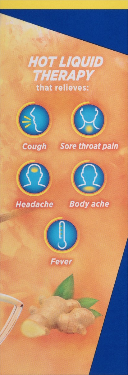 slide 8 of 12, Thera-Flu Honey Ginger Severe Cold Day, 6 ct