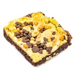 Total Cluster Fudge Chip Magnet Brownies
