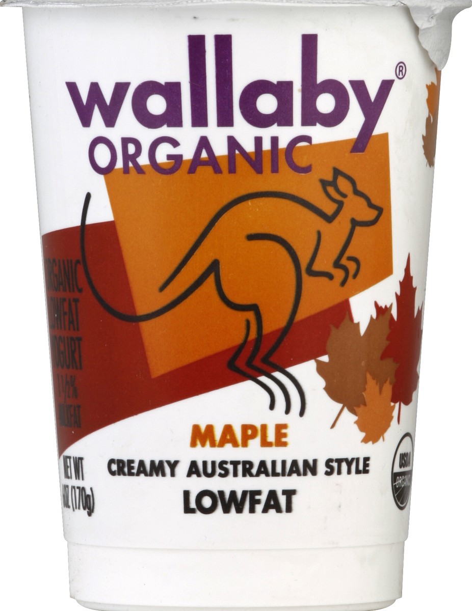 slide 3 of 3, Wallaby Organic Low Fat Maple Yogurt, 6 oz