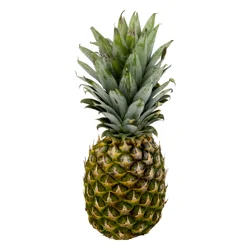 Pineapples Golden Ripe