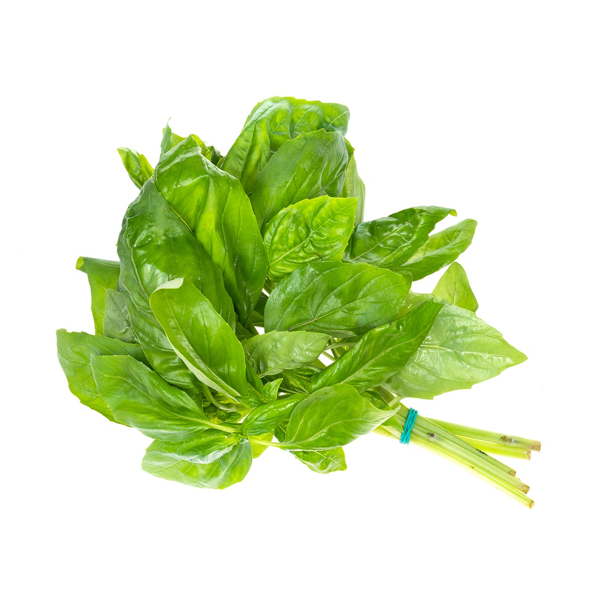 slide 1 of 1, Basil Bunch/ Sleeve, 1 ct