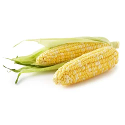 Sweet Corn