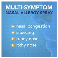 slide 23 of 25, Meijer Triamcinolone Acetonide Nasal Allergy Spray, 55 mcg per spray, 0.57 fl oz
