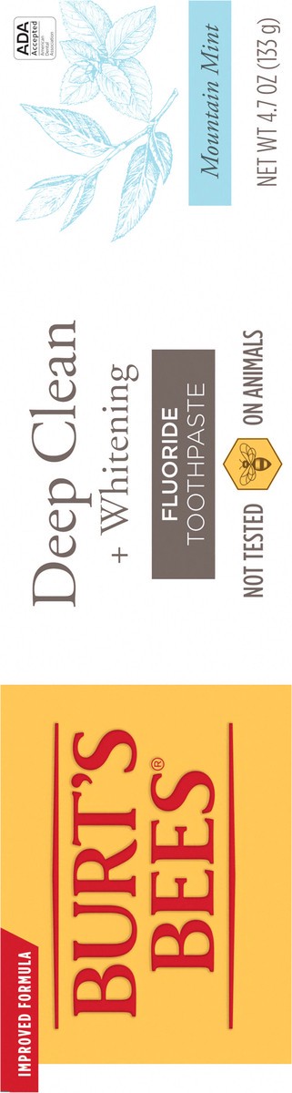 slide 2 of 3, Burt's Bees Burts Bees Toothpaste Deep Clean, 4.7 oz