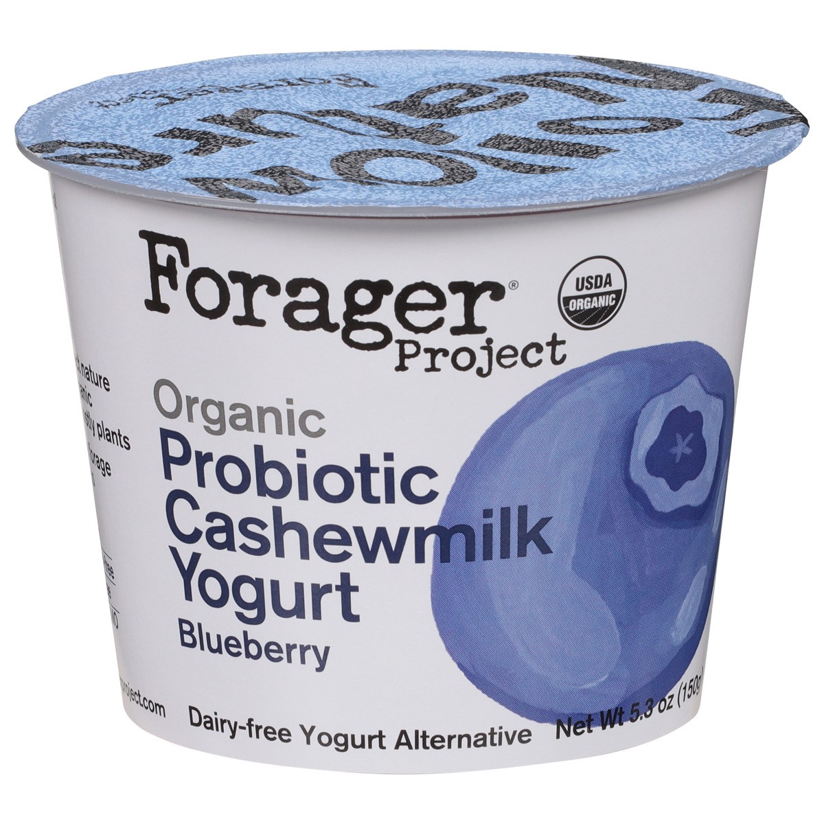 slide 8 of 9, Forager Project Dairy-Free Organic Blueberry Cashewmilk Yogurt 5.3 oz, 5.3 oz