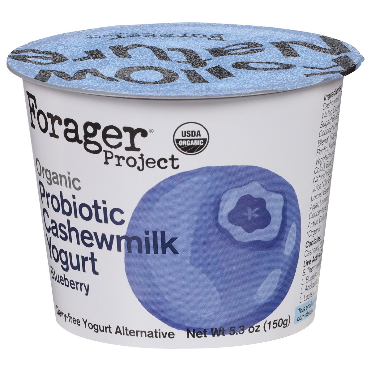 slide 5 of 9, Forager Project Dairy-Free Organic Blueberry Cashewmilk Yogurt 5.3 oz, 5.3 oz