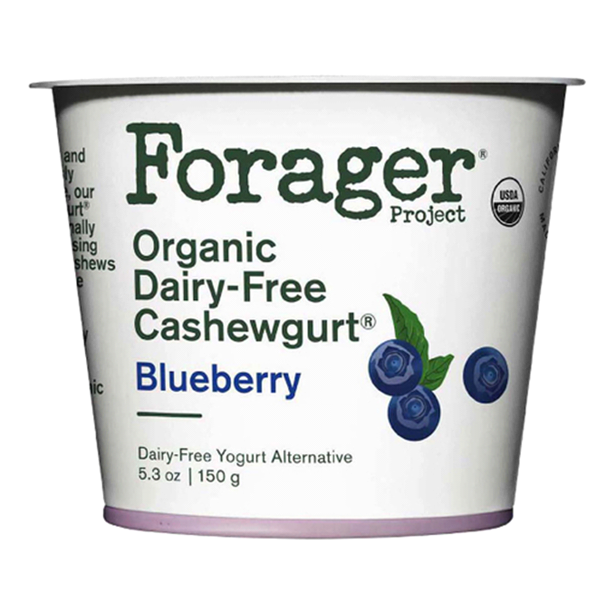 slide 1 of 10, Forager Project Cashewgurt Blueberry Dairy-Free, 5.3 oz