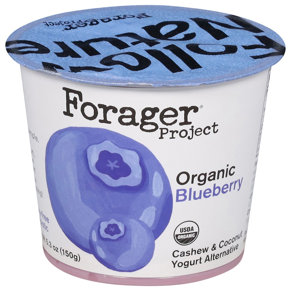 slide 1 of 9, Forager Project Dairy-Free Organic Blueberry Cashewmilk Yogurt 5.3 oz, 5.3 oz