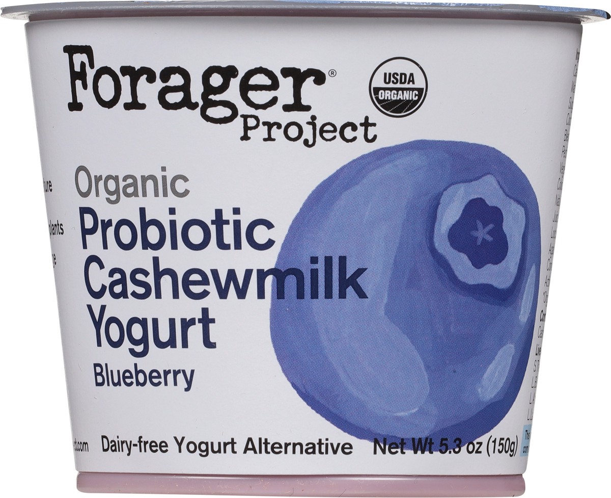 slide 2 of 9, Forager Project Dairy-Free Organic Blueberry Cashewmilk Yogurt 5.3 oz, 5.3 oz