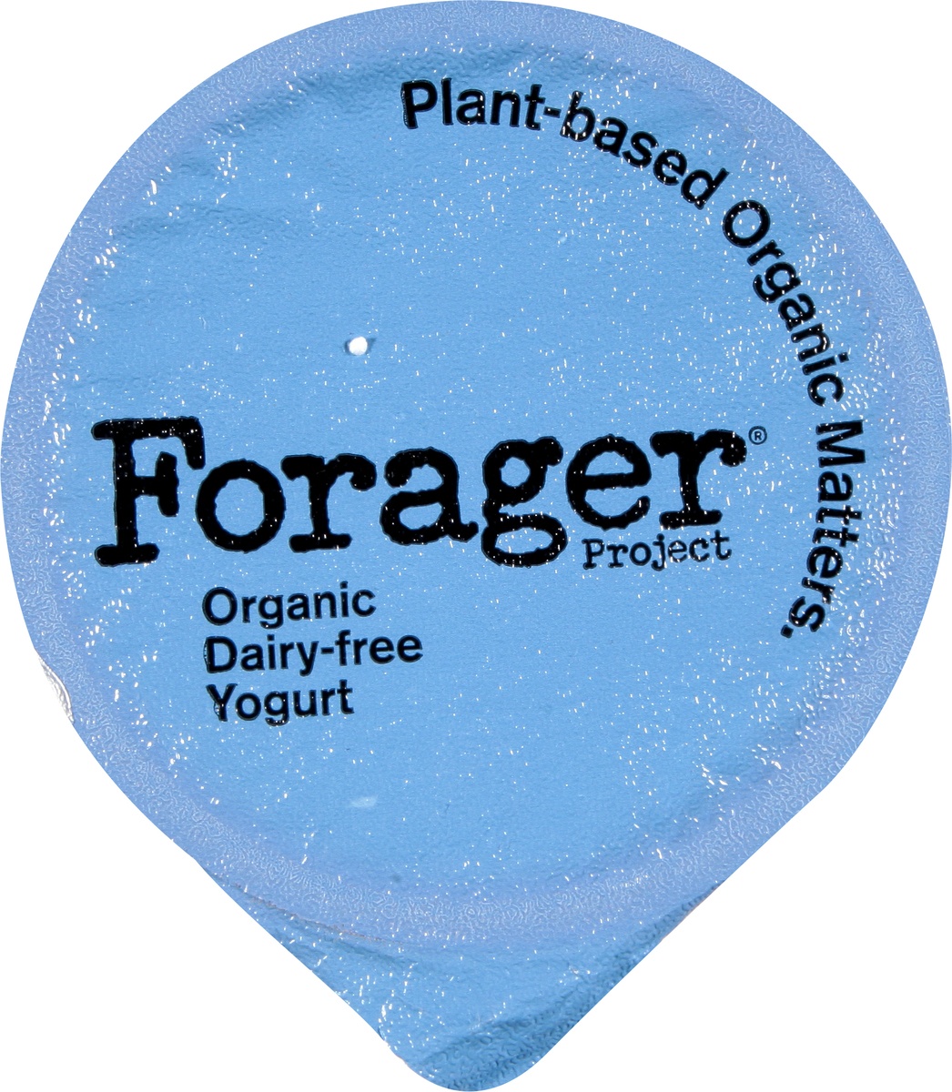 slide 6 of 10, Forager Project Cashewgurt Blueberry Dairy-Free, 5.3 oz
