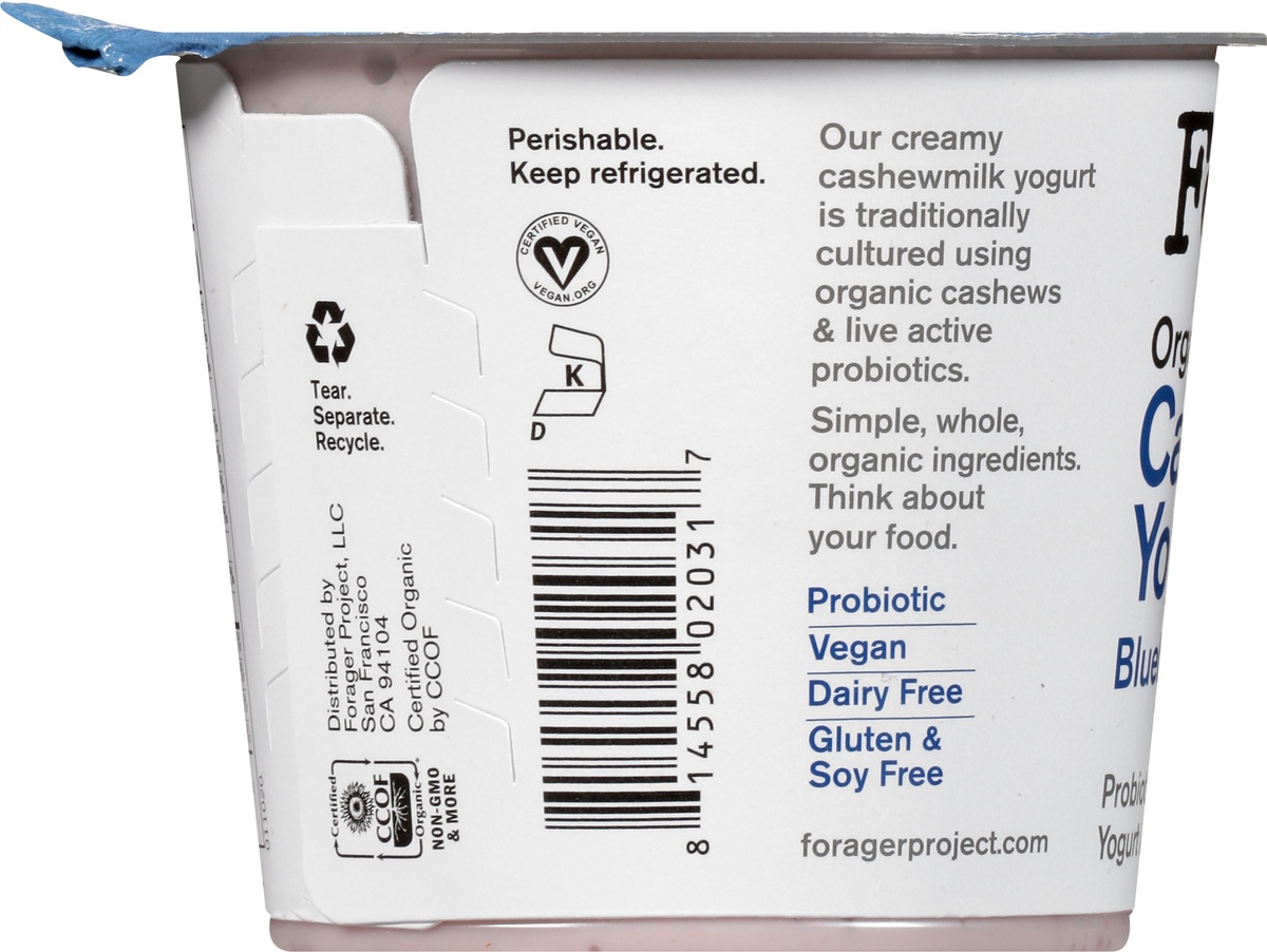 slide 7 of 10, Forager Project Cashewgurt Blueberry Dairy-Free, 5.3 oz