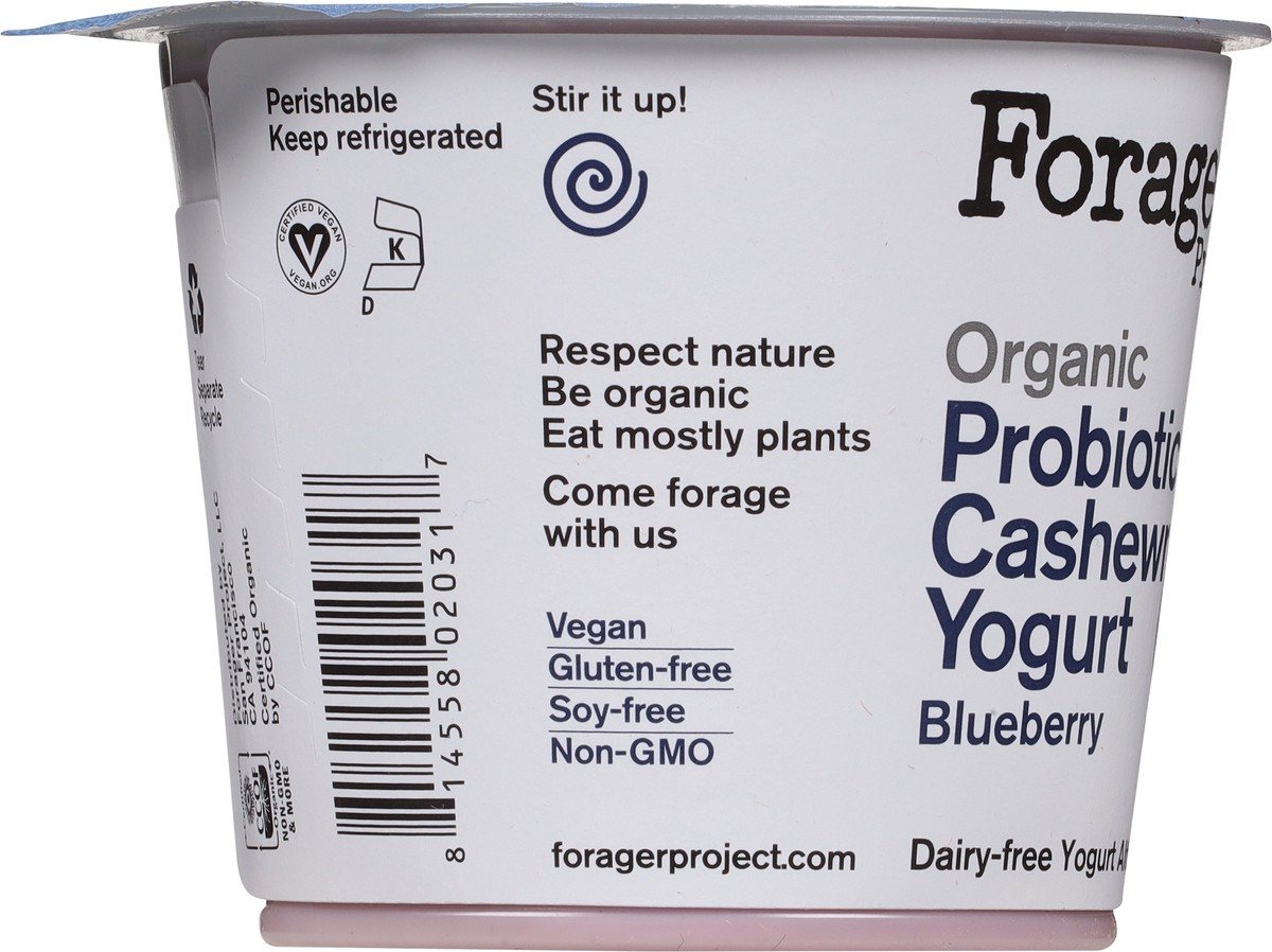 slide 9 of 9, Forager Project Dairy-Free Organic Blueberry Cashewmilk Yogurt 5.3 oz, 5.3 oz