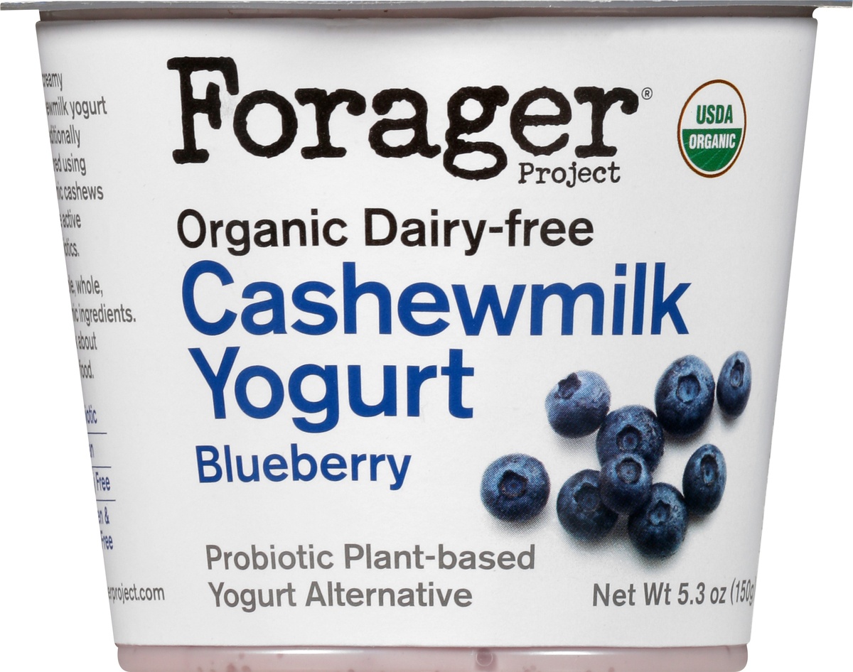 slide 9 of 10, Forager Project Cashewgurt Blueberry Dairy-Free, 5.3 oz