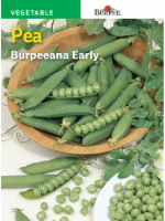 slide 1 of 1, Burpee Burpeanna Early Pea Seeds, 1 ct