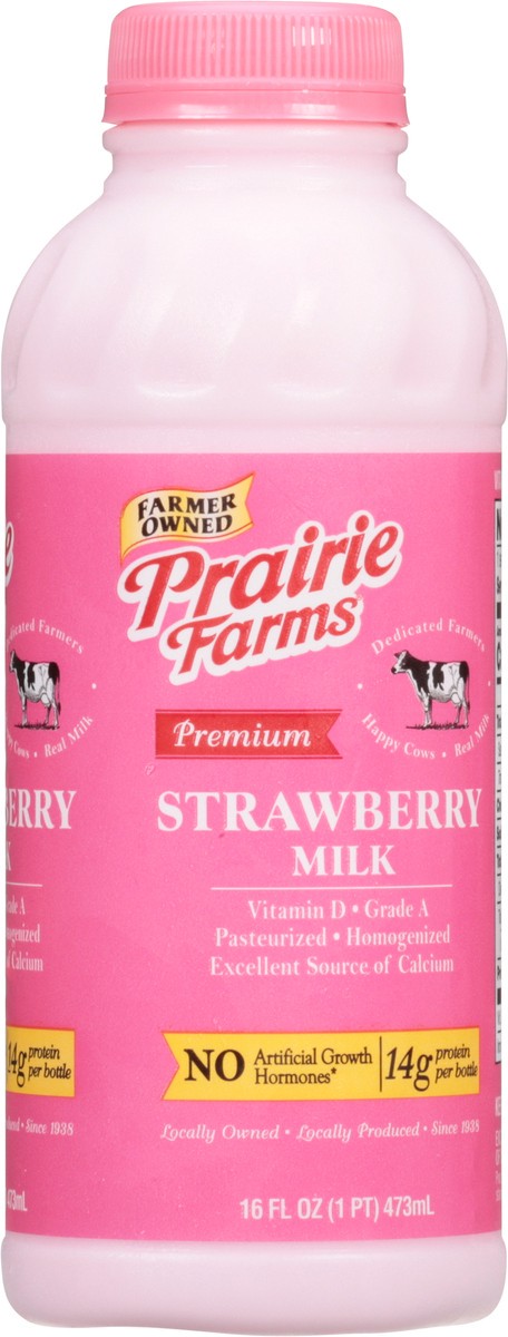 slide 8 of 14, Prairie Farms Premium Strawberry Milk 16 fl oz, 16 fl oz