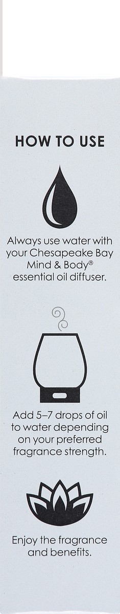 slide 2 of 9, Chesapeake Bay Candle Chesapeake Bay Essentl Oil Clarity, 0.33 oz