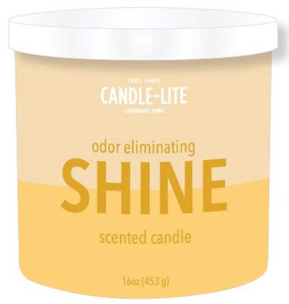 slide 1 of 1, Pure Shine Citrus + Clove Leaf Candle 1 ea, 1 ct