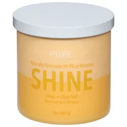 Pure Shine Citrus + Clove Leaf Candle 1 ea