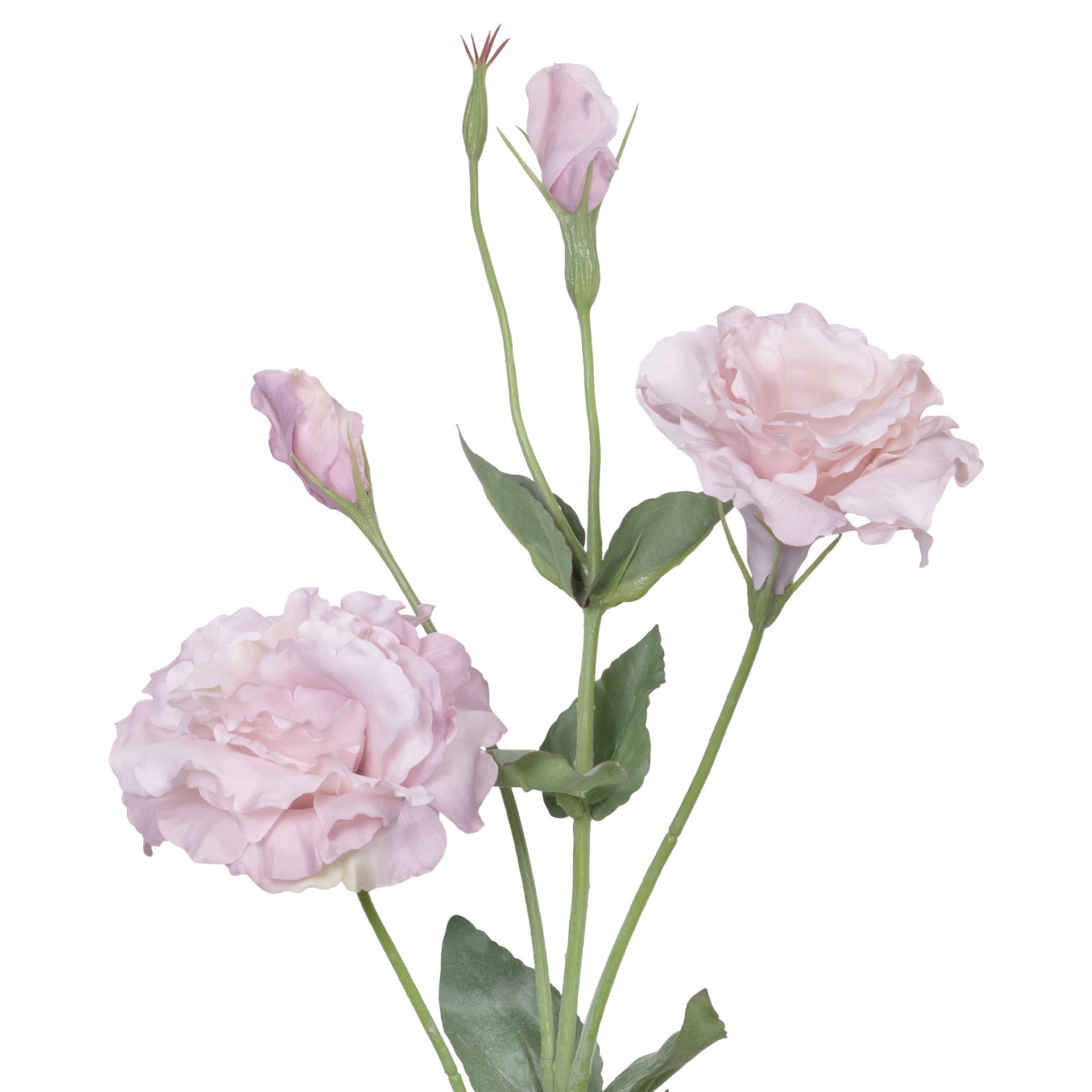 slide 2 of 3, 27" Lisianthus Stem By Ashland, 5.5 in x 3.5 in x 27 in