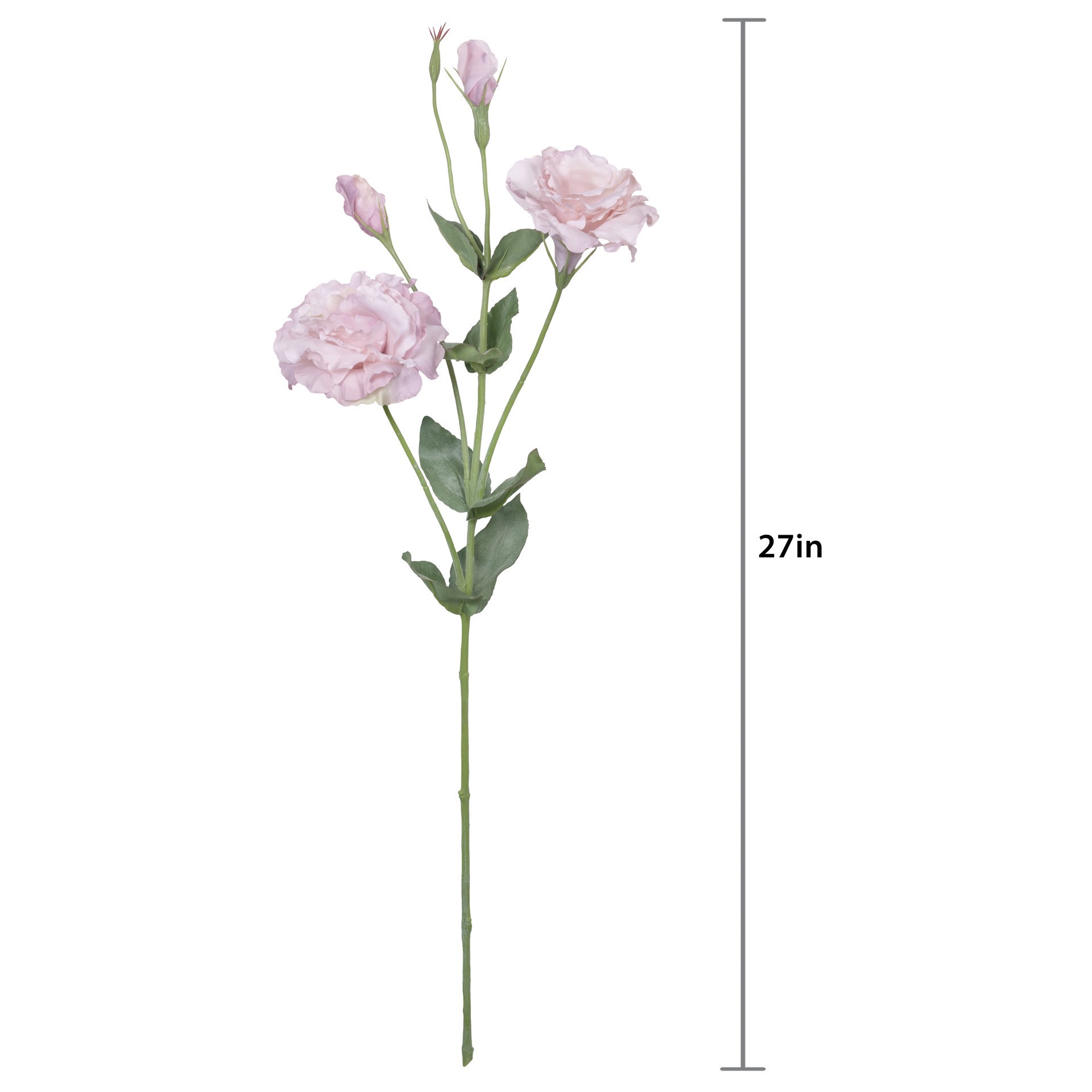 slide 3 of 3, 27" Lisianthus Stem By Ashland, 5.5 in x 3.5 in x 27 in