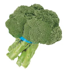 Broccoli