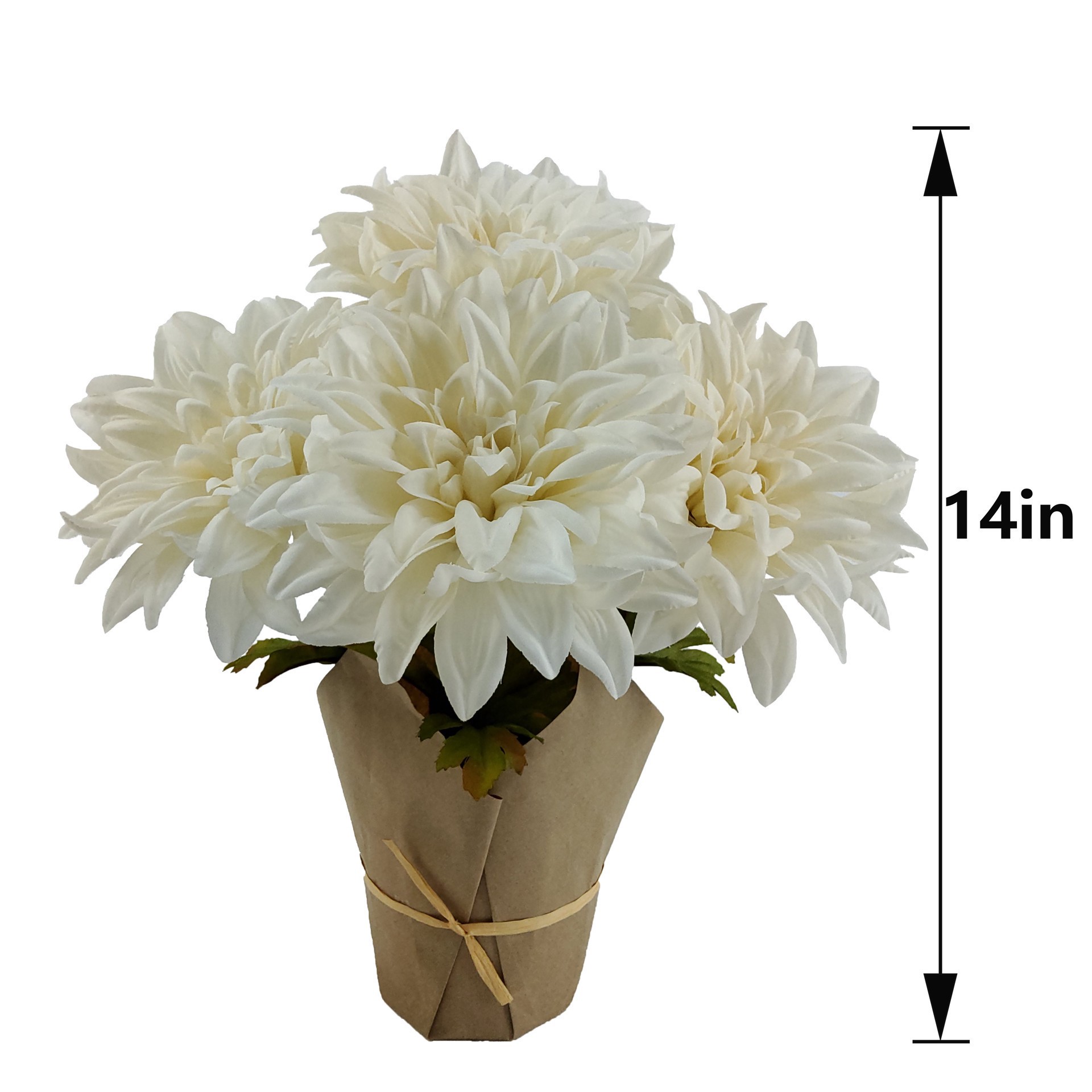 slide 2 of 3, 14" Potted Dahlia By Ashland, 12 in x 12 in x 14 in