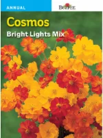 Burpee Cosmos Bright Lights Mixed Seeds - Multi-Color