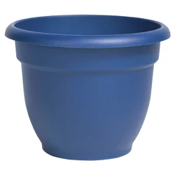 Bloem Ariana Classic Blue Planter, 6 in