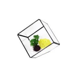 Bambeco Glass/Metal Square Terrarium With Succulents