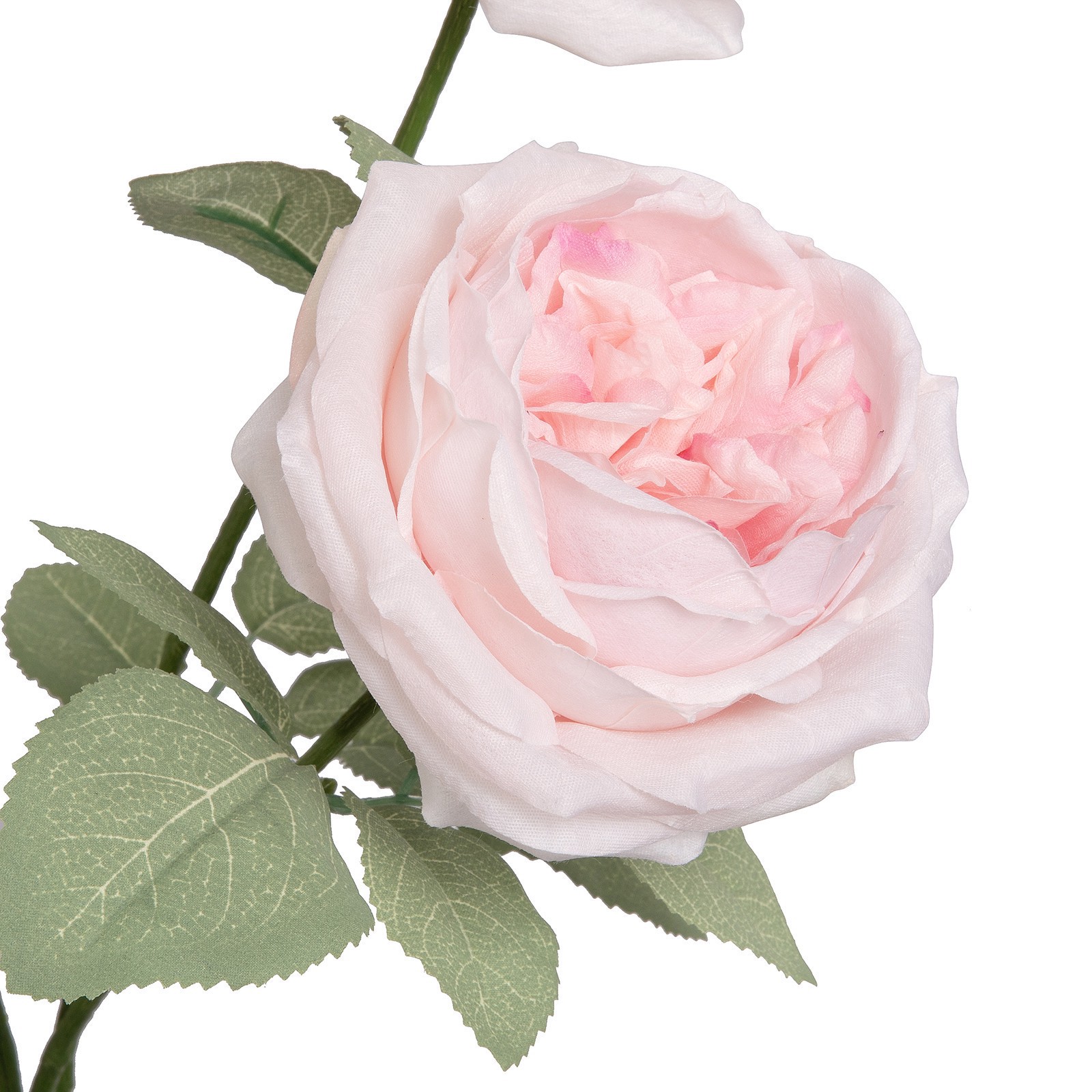 slide 3 of 4, 18.5" Cabbage Rose Deluxe Bush By Ashland, 18.5 in