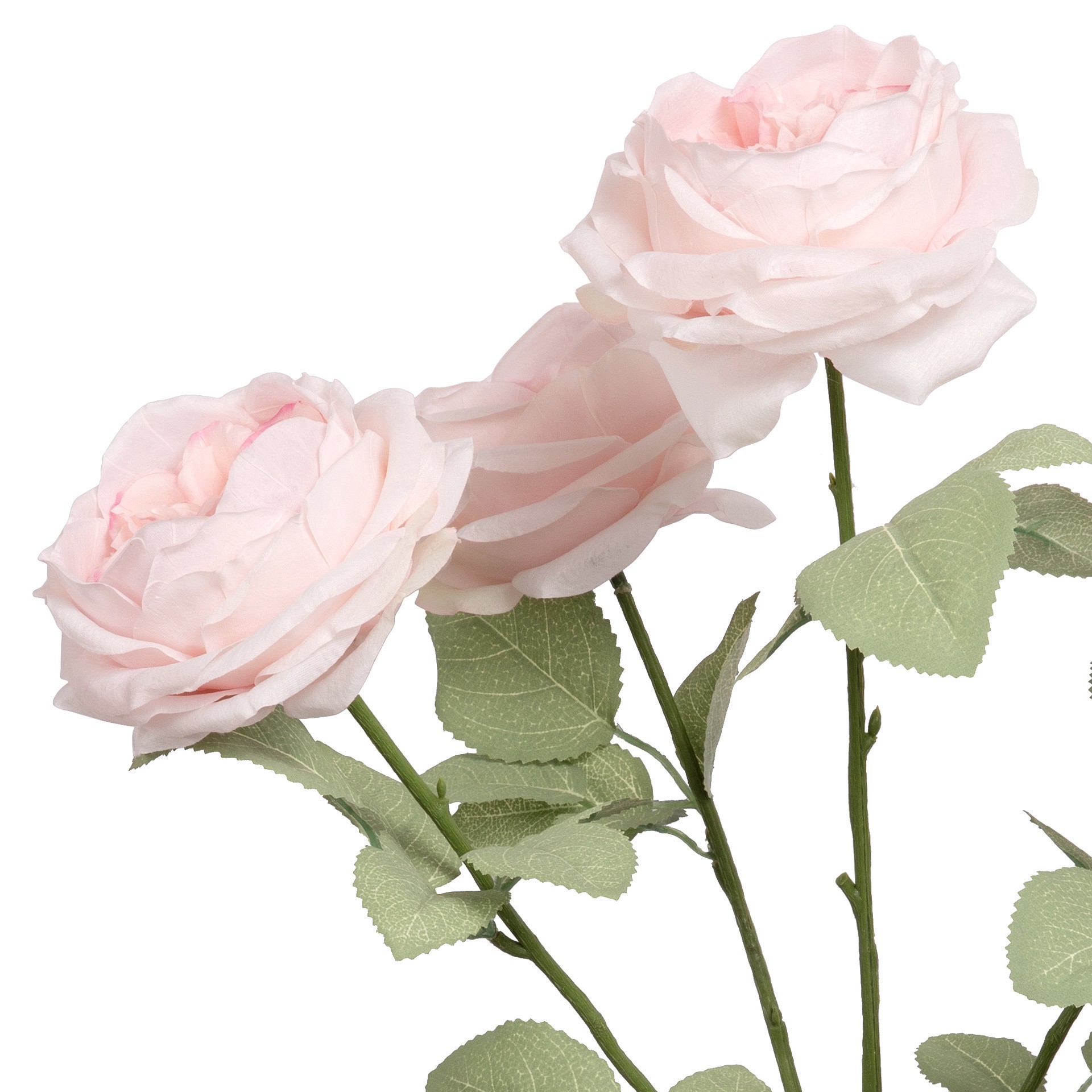 slide 2 of 4, 18.5" Cabbage Rose Deluxe Bush By Ashland, 18.5 in