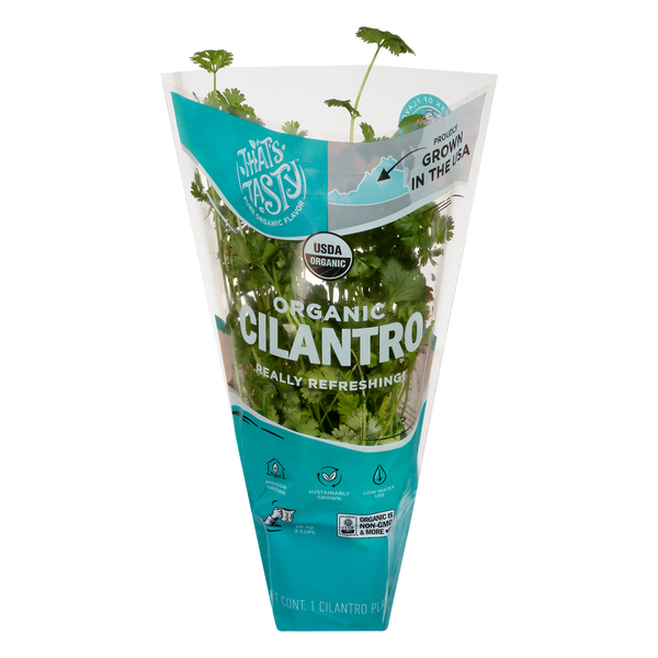 slide 1 of 1, That's Tasty Living Organic 4 Inch Cilantro, 1 ct
